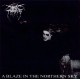 Darkthrone – A Blaze In The Northern Sky LP 1992/2012 (VILELP28)