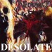 Necrosanct – Desolate LP 1993/2023 (DSR 197LP)