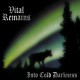 Vital Remains – Into Cold Darkness LP 1995/2014 (VILELP505)