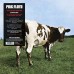 Pink Floyd – Atom Heart Mother LP 1970/2016 (PFRLP5) Pink Floyd – Atom Heart Mother LP 1970/2016 (PFRLP5)