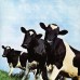 Pink Floyd – Atom Heart Mother LP 1970/2016 (PFRLP5) 