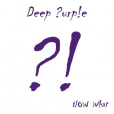 Deep Purple – Now What?! 2LP 2013 (0208578ERE)