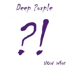 Deep Purple – Now What?! 2LP 2013 (0208578ERE)